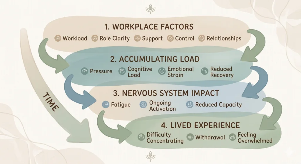 Diagram showing how psychosocial hazards accumulate over time in four stages: workplace factors (workload, role clarity, support, control, relationships), then accumulating load (pressure, cognitive load, emotional strain, reduced recovery), then nervous system impact (fatigue, ongoing activation, reduced capacity), and finally lived experience (difficulty concentrating, withdrawal, feeling overwhelmed).