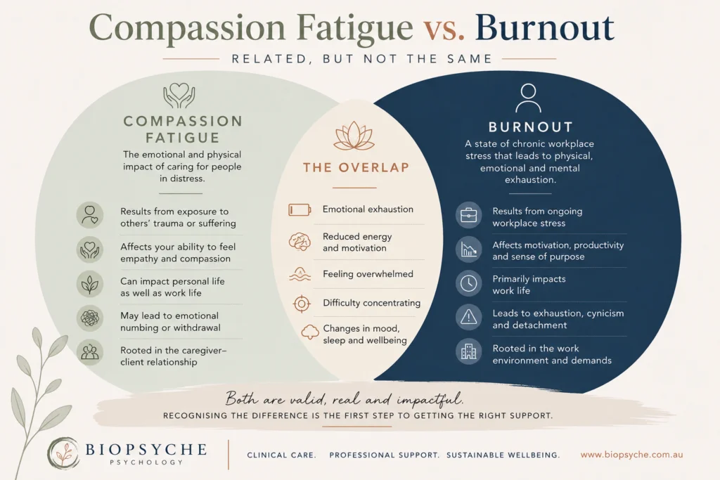 compassion fatigue and burnout